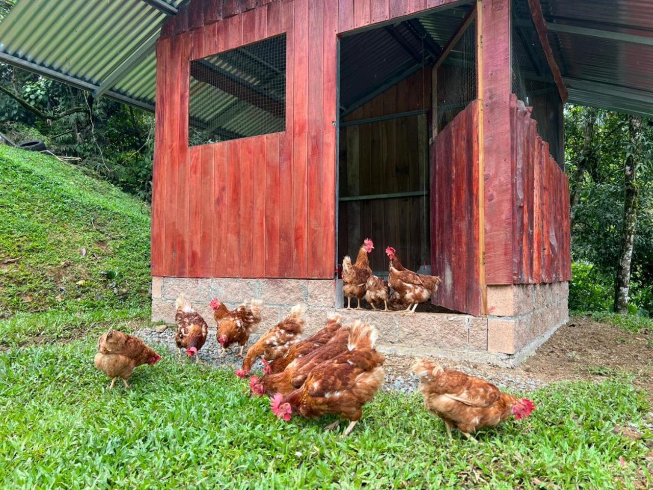 Hotel Rivel - Restaurant & Nature Retreat Turrialba Exterior foto